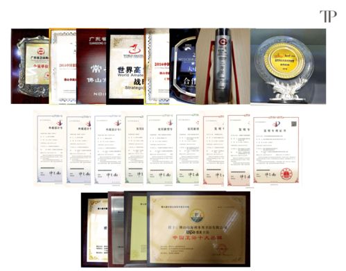 緹派多功能智能衛浴工程技術研究中心榮獲市級認定，引領技術咨詢新篇章